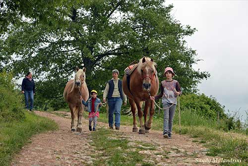 Tutta la famiglia a cavallo