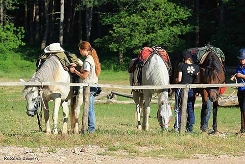 Scuola di Trekking