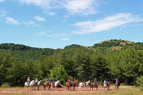 Scuola di Trekking